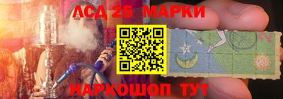гашик Камышлов