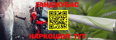 гашик Камышлов