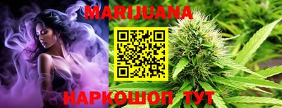 гашик Камышлов