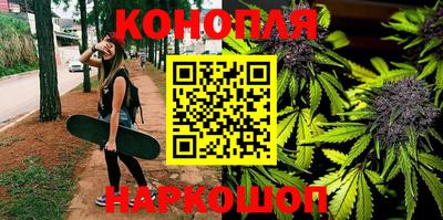 гашик Камышлов