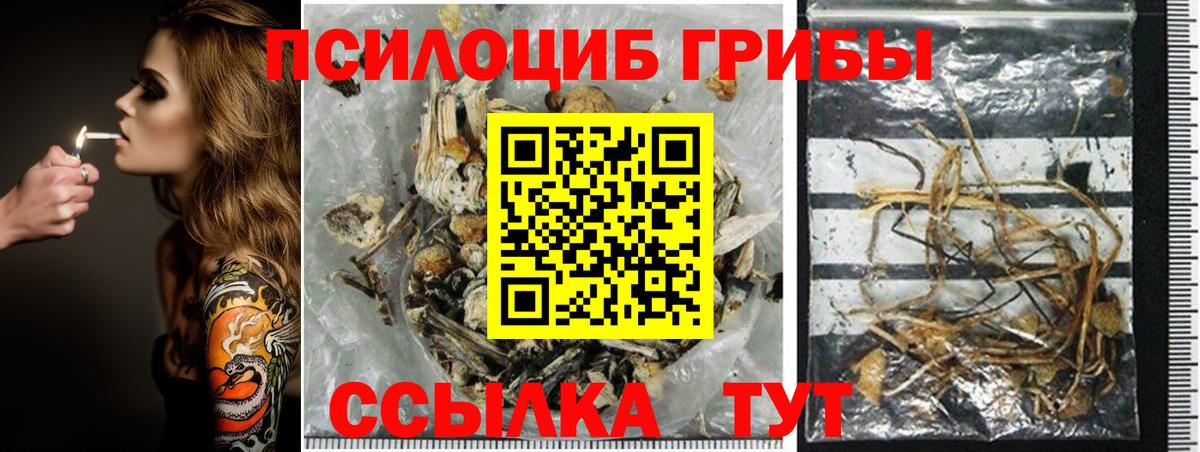 Камышлов  Галлюциногенные грибы ЛСД  Вход с VPN 